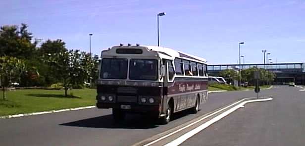 Pacific Transport Leyland